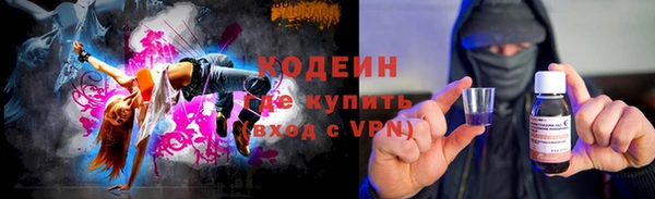 крисы Коряжма
