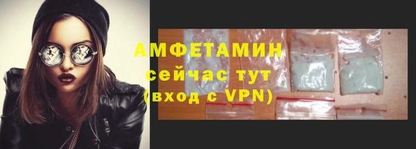 крисы Коряжма
