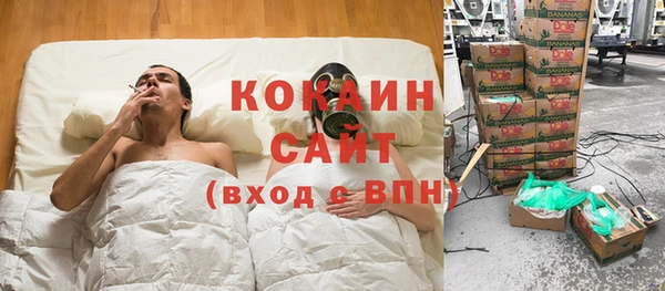 крисы Коряжма
