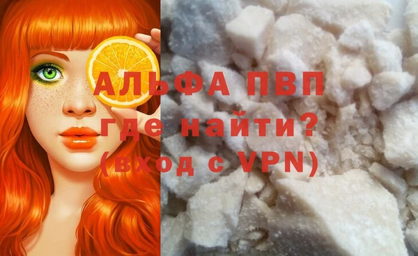 крисы Коряжма