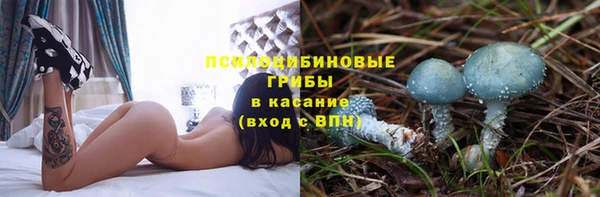 крисы Коряжма