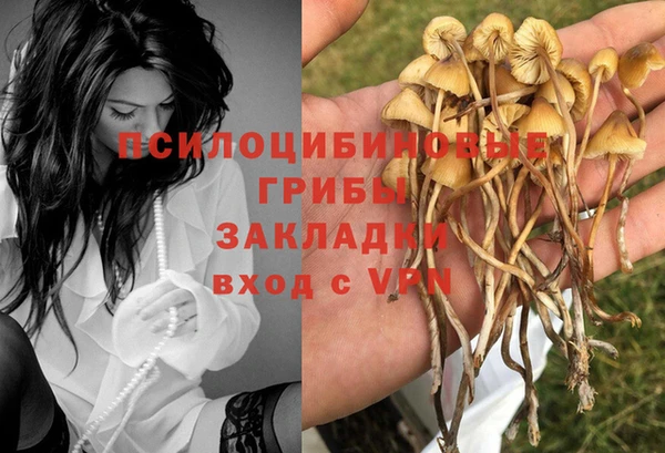 спайс Костерёво